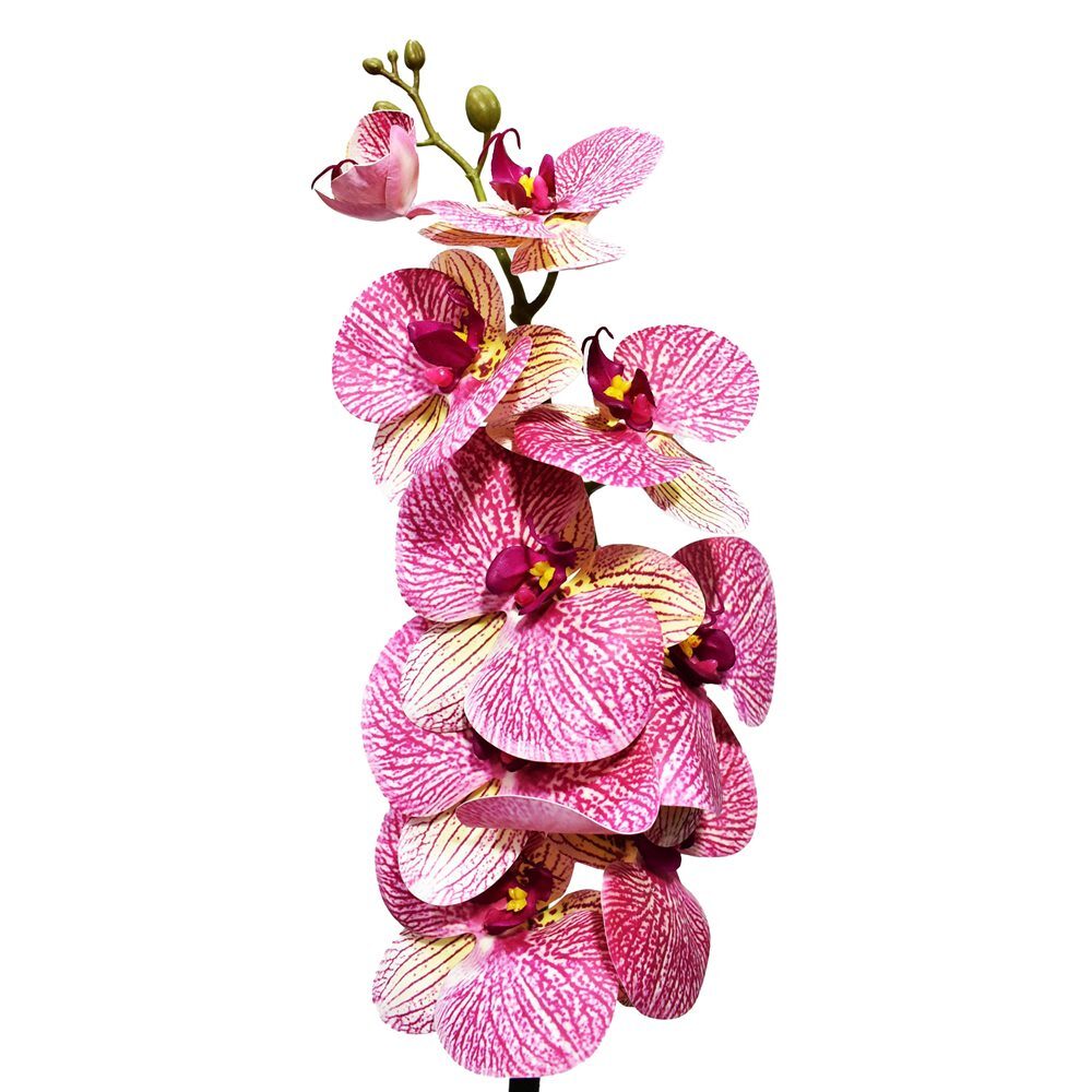 Orquídea Phalaenopsis Real Toque X9 Rosa Florarte 68cm - Loja Lemis