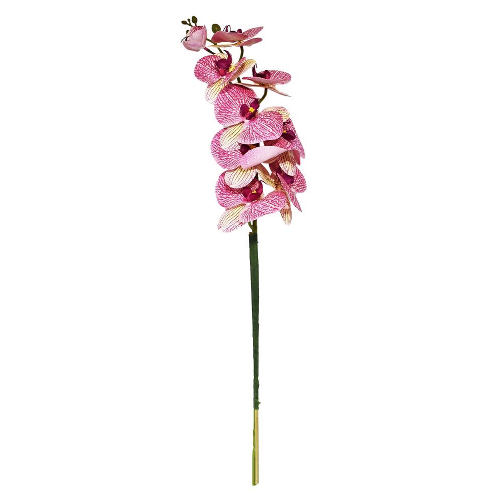 Orquídea Phalaenopsis Real Toque X9 Rosa Florarte 68cm - Loja Lemis