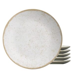 Jogo 6 Prato Sobremesa Coup Organic Cerâmica 20cm Alleanza