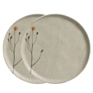 Jogo 2 Prato Raso Porto Brasil Campestre Bio Stoneware Off White Mesa Posta 27,5cm